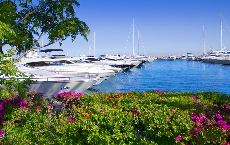 Yachting scene in Mallorca